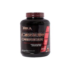 Tesla Casein Charger