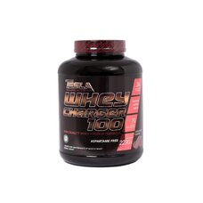 Tesla Sports Nutrition Whey Charger