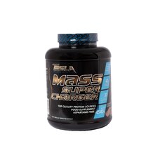 Tesla Mass Super Charger